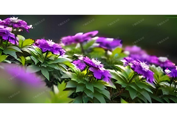 呵护私密花园，武汉专业私处按摩体验